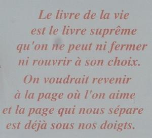 AOBR LOURDES 2013 08  (5)